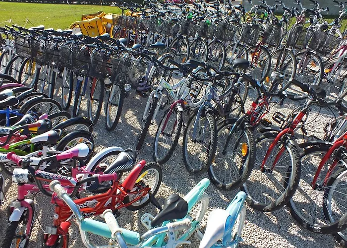 酒店 卡塔琳保健酒店