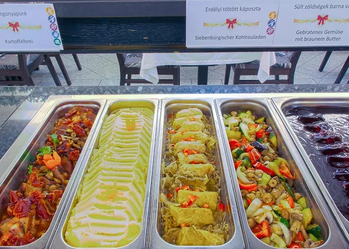 卡塔琳保健酒店 酒店 根尼斯迪亚斯